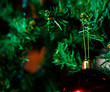 Foto: Xmas tree Xmas tree