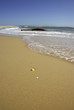 Plage girondine