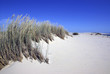 Dune Atlantique