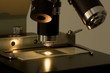 Microscope Microscope