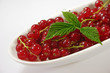 Johannesbeeren in einer weissen Schale