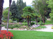 Giardino tropicale
