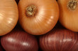 Onions Onions