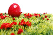 Ostern, Ostereier auf Wiese