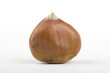 One Chestnut
