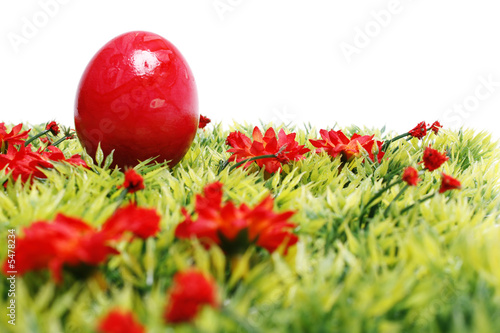 Photo: Ostern, Ostereier auf Wiese Ostern, Ostereier auf Wiese