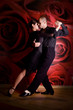 young couple in love at the nightclub dancing Latino dance