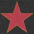 walk of fame type star