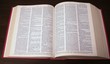 Dictionary