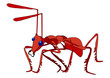 RED ANT