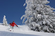Photo: Skifahrer im Tiefschnee Skifahrer im Tiefschnee