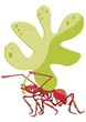 RED,ANT,WITH,GREEN,LEAF