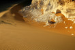 desert du sinai