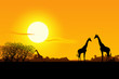 Photo en ligne au meilleur prix Africa