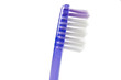 Dentifrice