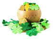 Saint patrick's pot filled with gold and shamrock around it