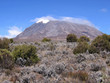 a view of mount kilimanjaro from the marangu route.