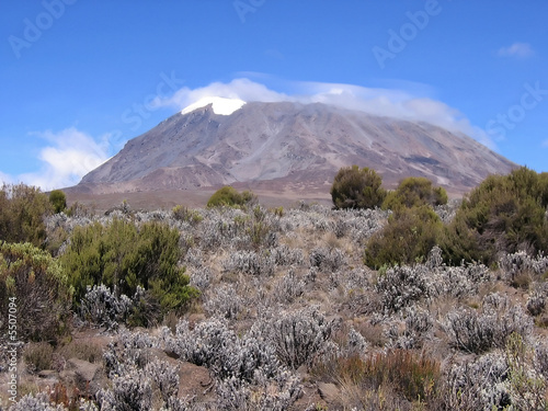 a view of mount kilimanjaro from the marangu route. a view of mount kilimanjaro from the marangu route.