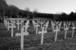 Cimetière militaire roumain du Gauchmatt (Alsace) 