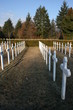 Cimetiète militaire roumain du Gauchmatt (Alsace) 