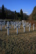 Cimetière militaire roumain du Gauchmatt (Alsace)
