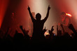 Live concert - the band and the crowd