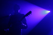 Live concert - a guitar player