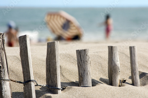 Ganivelles de protection des plages et du littoral
