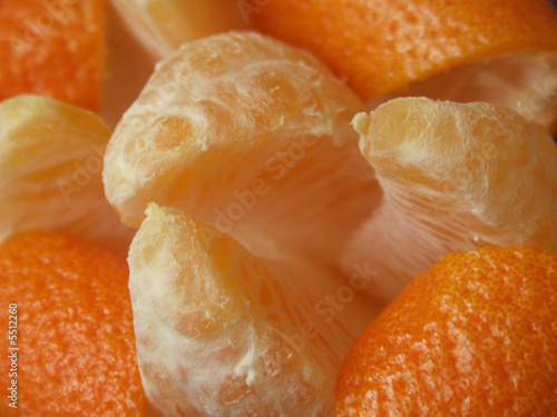 Mandarin Orange Up Close Mandarin Orange Up Close