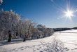 verschneite Winterlandschaft