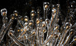 dead flowers trapped by an early ice storm