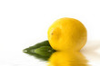 fresh lemon fresh lemon