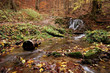 Creek in the forest in Autumn
