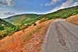 strada di montagna strada di montagna