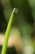goutte d'eau