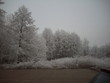 Winterlandschaft 