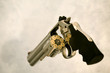 Photo en ligne au meilleur prix magnum revolver loaded with seven shots