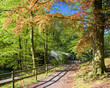 Footbridge at Clappersgate, Ambleside, Lake District