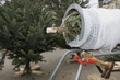Christbaumverkauf