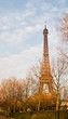 The Eiffel Tower in nightfall - paris France