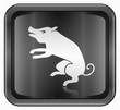 Pig Zodiac icon, isolated on white background.
