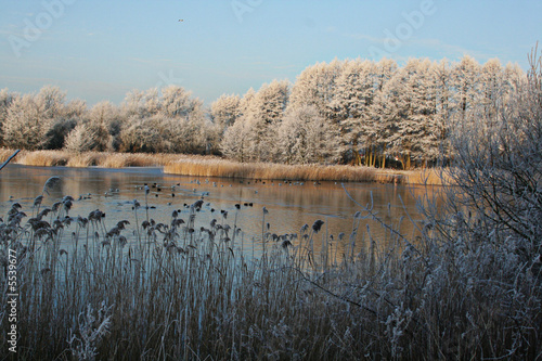 Foto: Winter Winter
