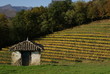 Pays Basque en automne