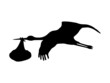 Cicogna