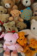 meine Teddys