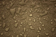 Raindrops on stone. / Regentropfen auf Stein.