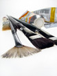 Close up to Paint brushes together with paint tubes