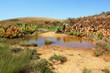 marecage et savane tropicale