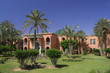 palmiers et architecture marocaine
