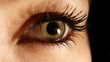 Auge Detail